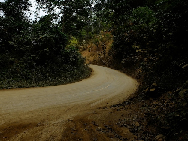 La strada per la zona rurale del campo di canna da zucchero in thailandia