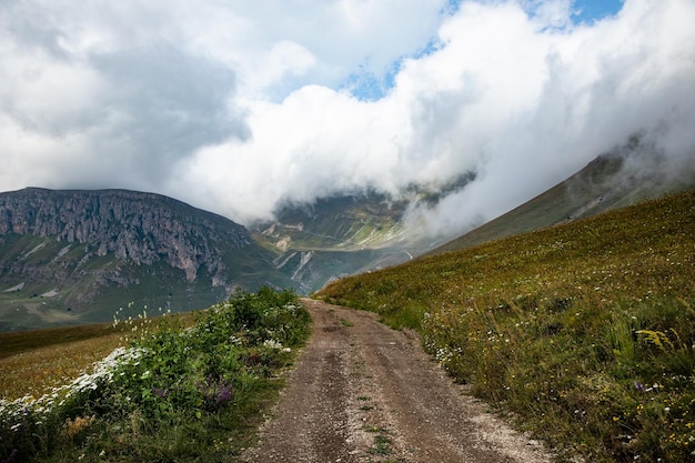 Strada in montagna d'estate