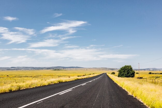 Road surrounded by fields on a cloudy day