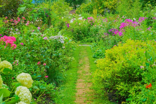 多色の花に囲まれた道
