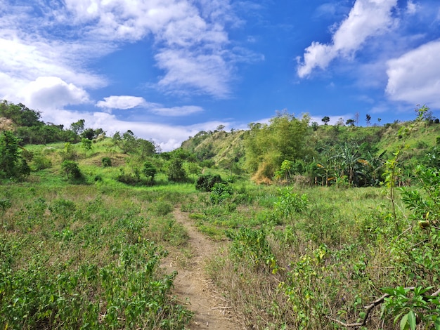 The road to Taal volcano, Philippines