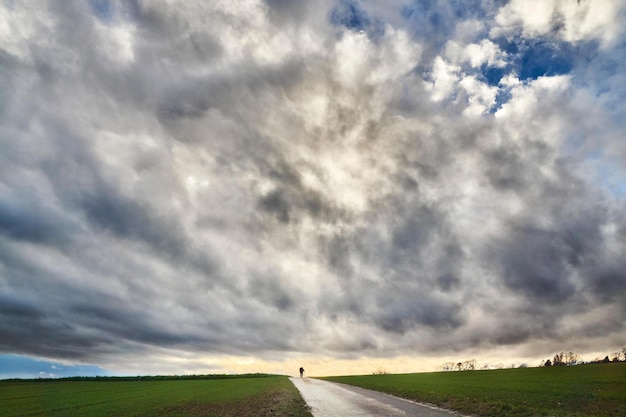 road through the field