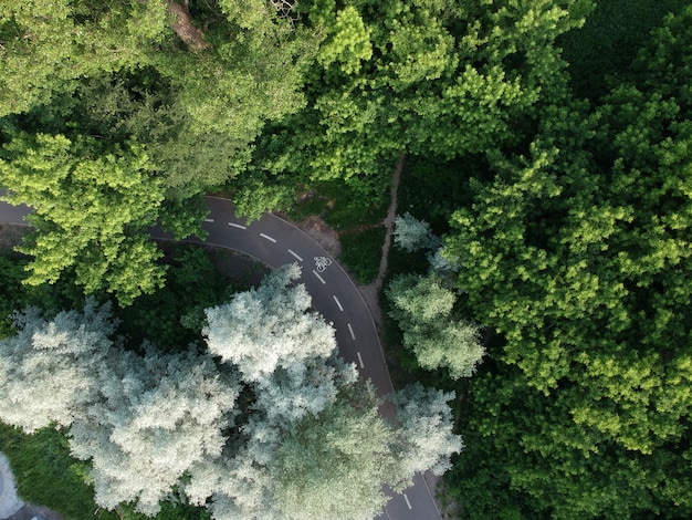 緑の森、空撮を通る道路