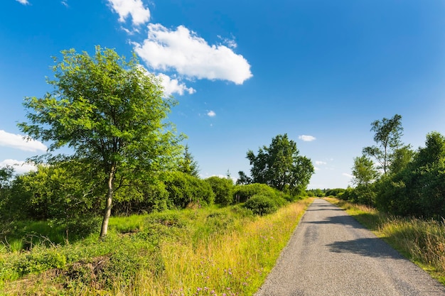 Road through moor landscape in the high fens belgium