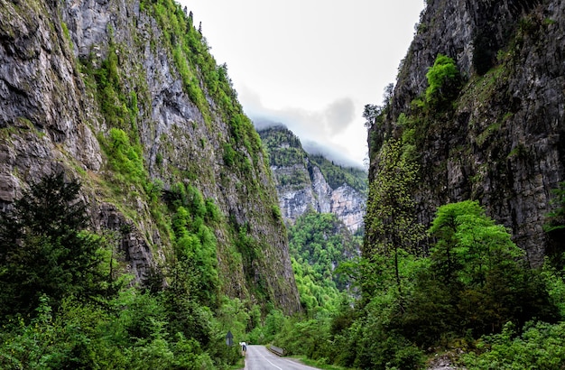 Road through the mountain gorge with forest covered with low overcast clouds