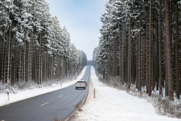 雪に覆われた森の中の道、冬の滑りやすく凍るような道、寒い中の空っぽの高速道路