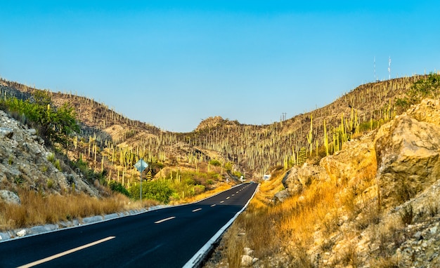 Strada attraverso la riserva della biosfera di tehuacan-cuicatlan, patrimonio mondiale dell'unesco in messico