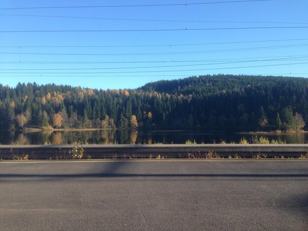 Road and trees against clear blue sky