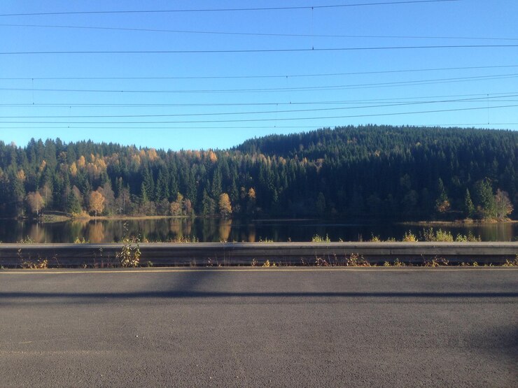 Photo road and trees against clear blue sky