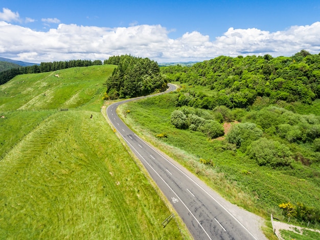 Road trip on the hill with green grass and sheep farm meadow in Rotorua, New Zealand.