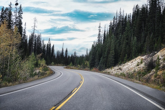 Road trip met auto rijden op kronkelende weg tussen het bos op heldere dag in Banff National Park Alberta Canada