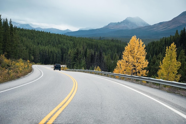 Road trip with rocky mountains in autumn forest at Banff national park, Canada