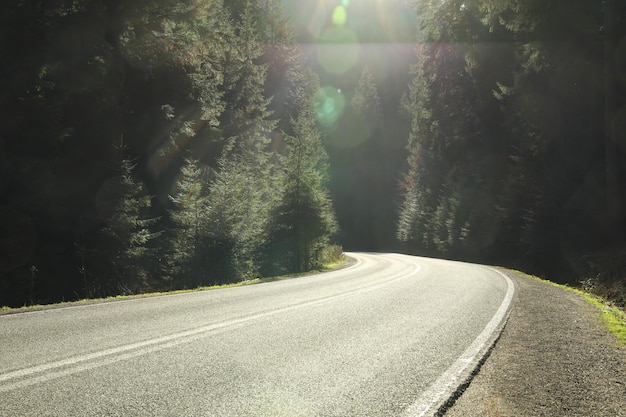 Road in Ukrainian Carpathian mountains in sunny day