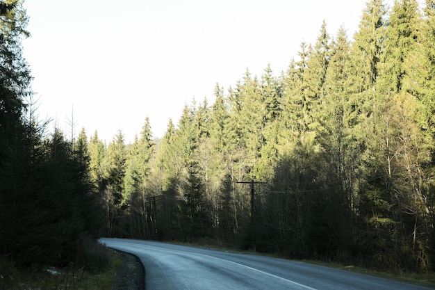 Road in Ukrainian Carpathian mountains in sunny day