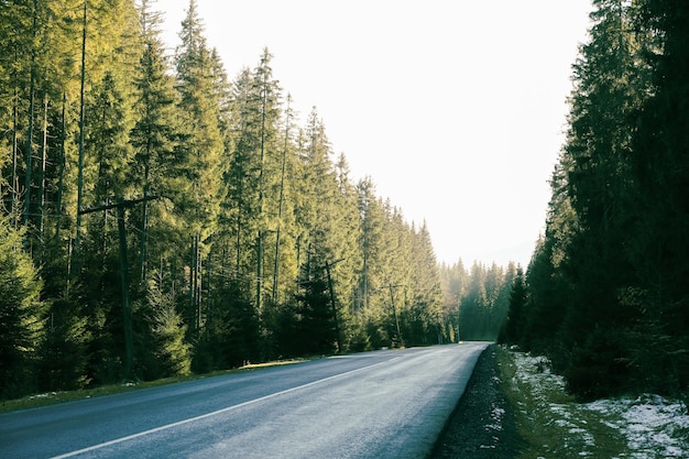 Road in Ukrainian Carpathian mountains in sunny day