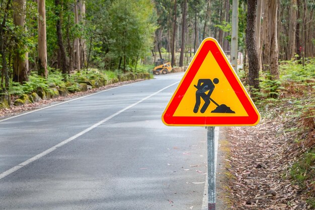 写真 樹木による道路警告標識