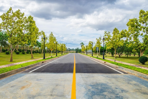 黄色の木とポール ライトの道路