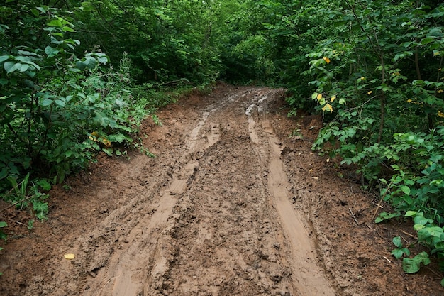 Road wet muddy of backcountry countryside in rainy day