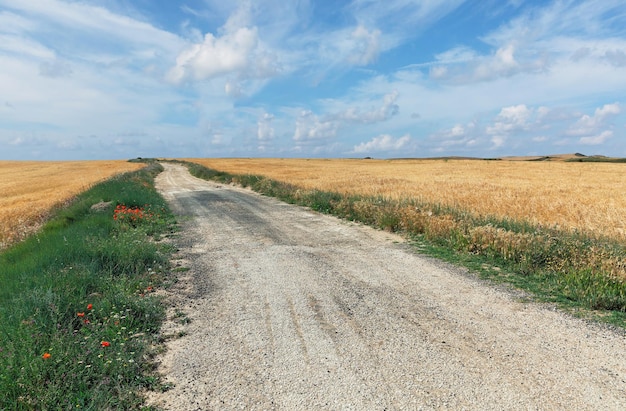 Road in the wheat field on a background of the sky in Spain