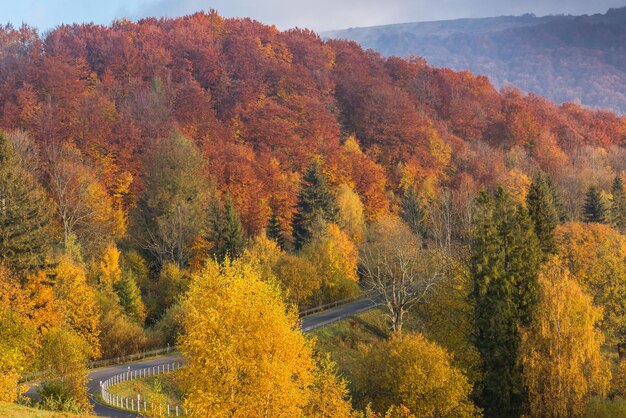 Road in wild Bieszczady mountains at fall