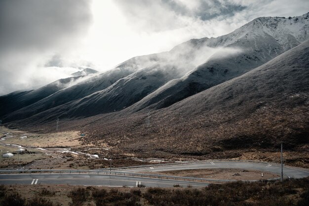 Road in the wild