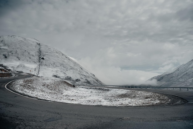 Road in the wild