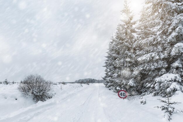 Una strada in inverno coperta di neve. portato fuori con un 5d mark iii.