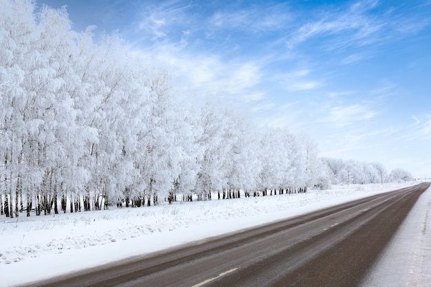 Road in winter