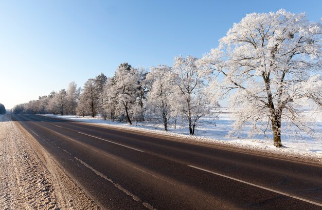 Road in the winter