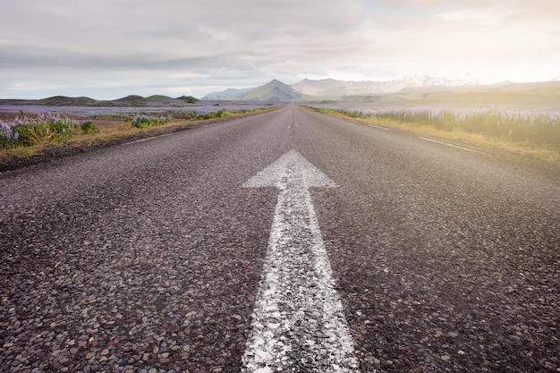 road with arrow on asphalt road pointing to the horizon