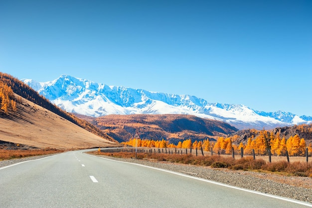 秋の木々と雪に覆われた山々のある道路。ロシア、シベリア、アルタイ共和国のチュイスキートラクト。北中也尾根の眺め