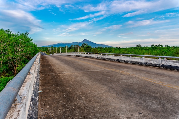 日光の下で橋と木の自然の道