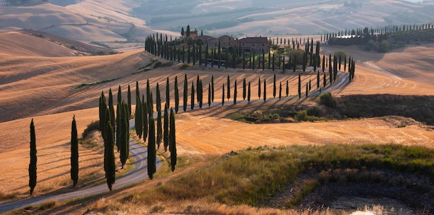 Road with cypresses on sunset in Tuscany Italy