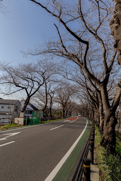 A road with a green line that says no parking on it