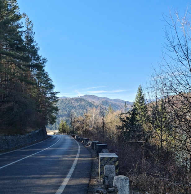 산을 배경으로 한 도로