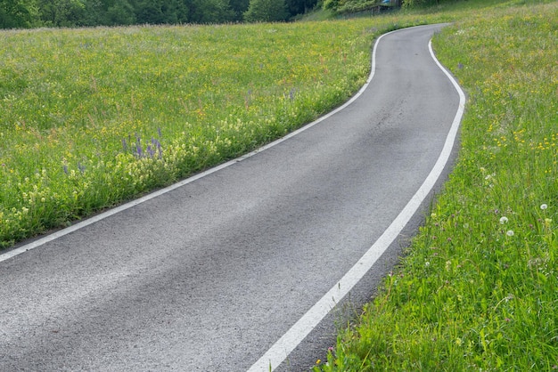 山のカーブのある道路