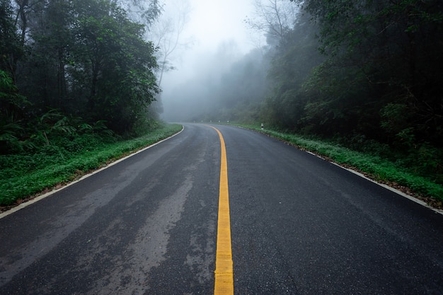 Strada con la foresta della natura e la strada nebbiosa della foresta pluviale.