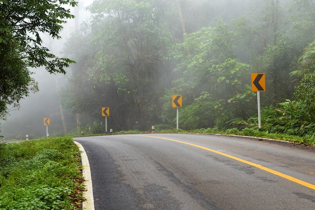 Road in with nature forest and foggy road  of Rain forest.