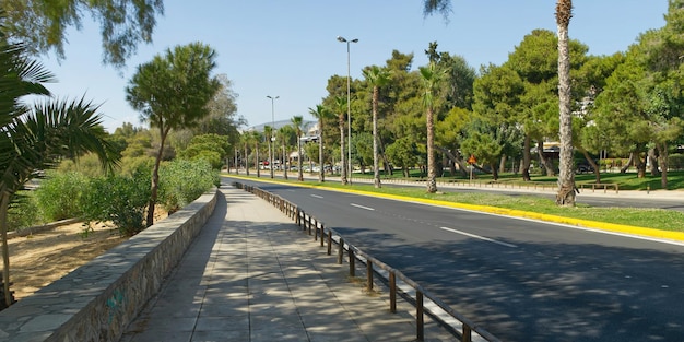 ギリシャのアテネのヤシの木のある道路がクローズアップ