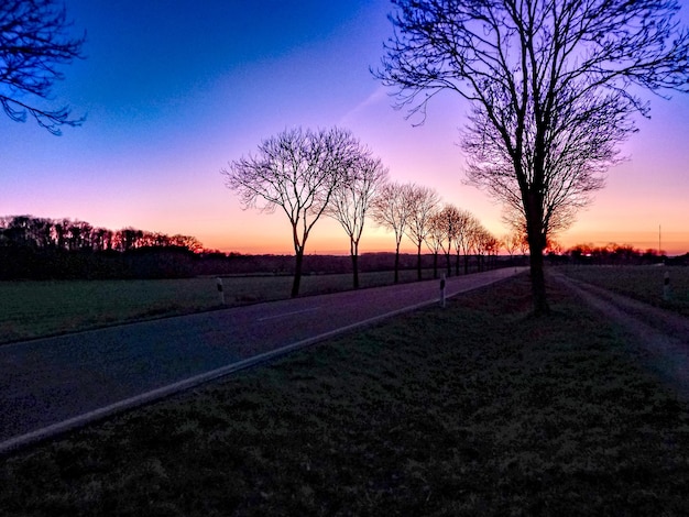 A road with a road and trees with a sunset in the background.