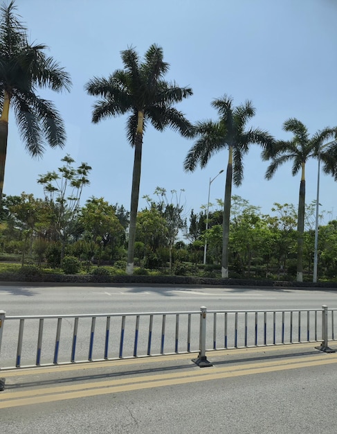 A road with a sign that says'no parking'on it