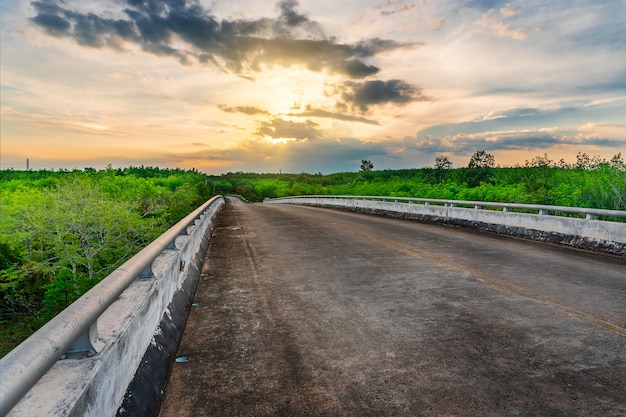 Road with tree at sunset