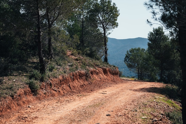 Foto strada con svolta nella foresta con vista sulle montagne della catalunia