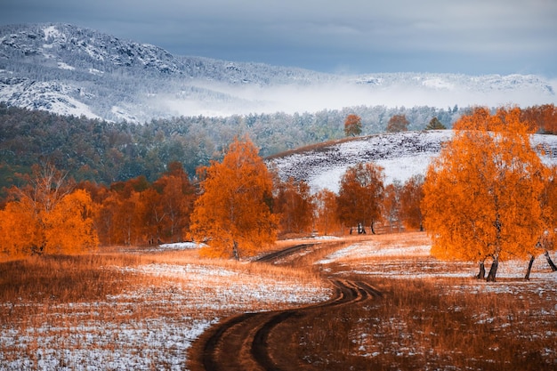 Road with yellow autumn trees and snowcovered mountains