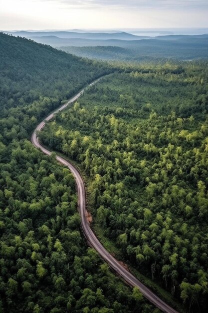 Photo a road in the woods with a road and a highway through it