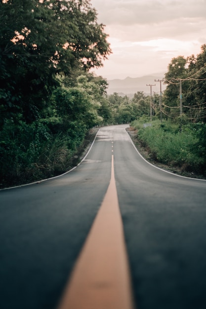 Road in the woods