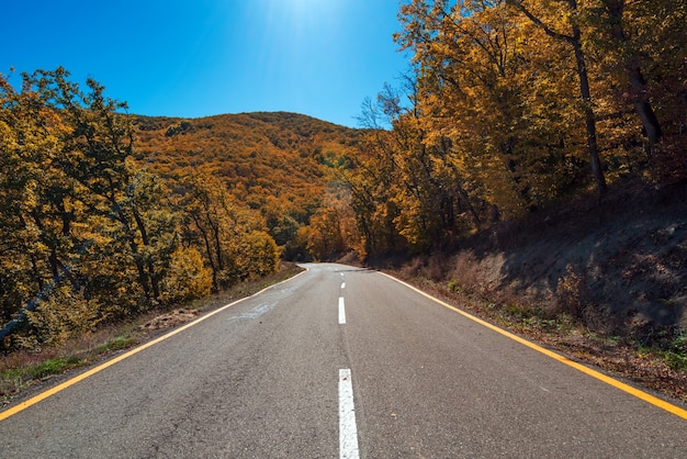 Road among yellow autumn mountain forest