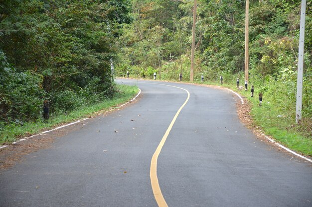 道路