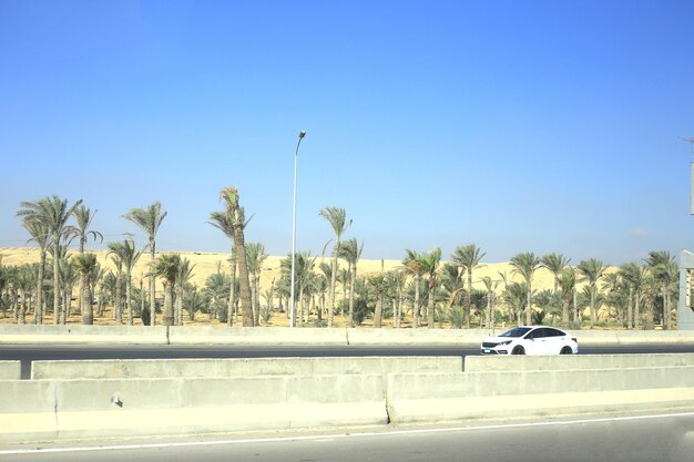 Roads with palm trees near HURGHADA