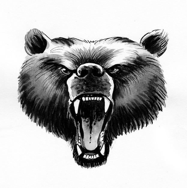 Foto orso grizzly ruggente. disegno a china e acquerello